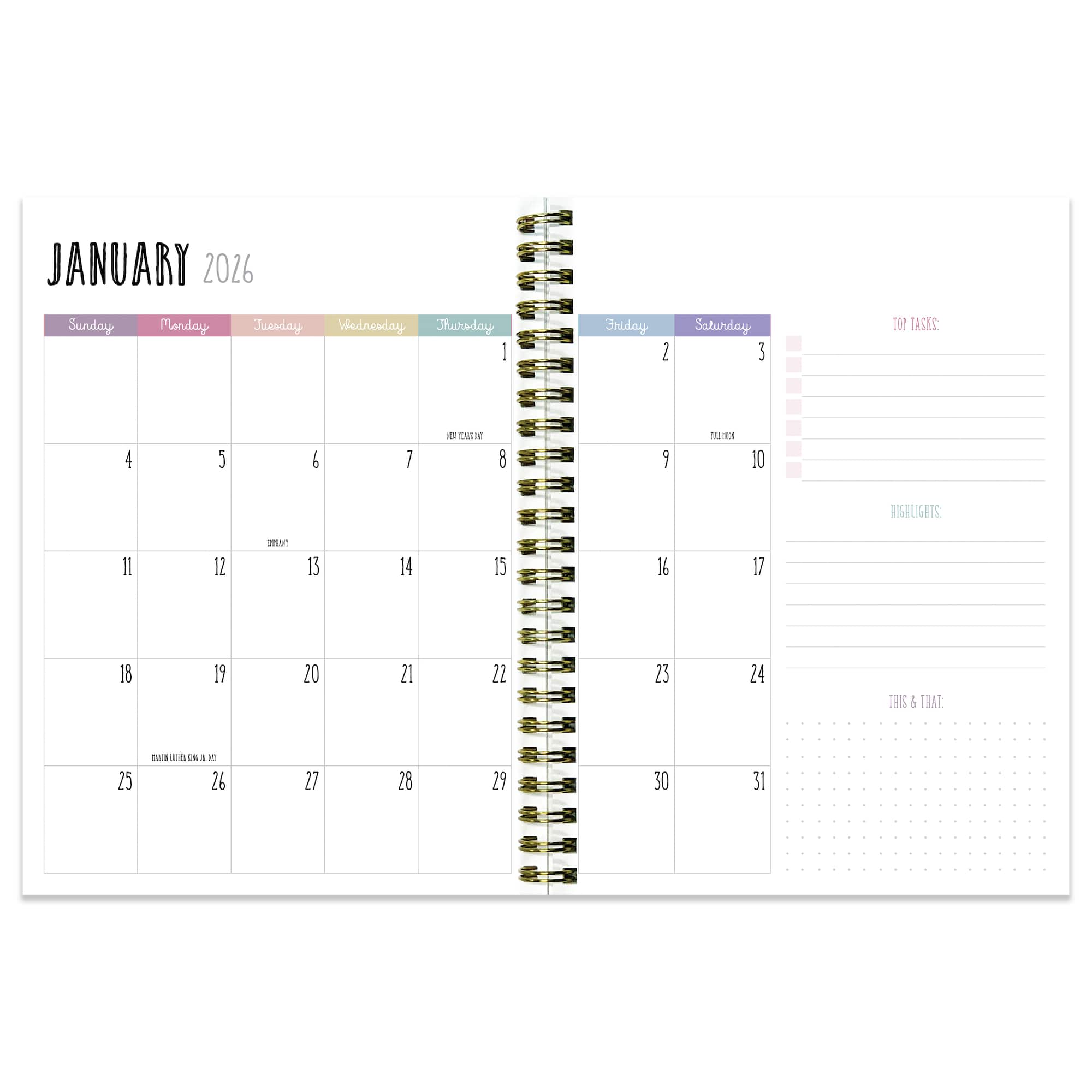 TF Publishing 2025-2026 Jolly Good Year Medium Weekly/Monthly Planner